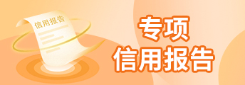 专项信用报告