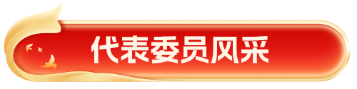 代表委员风采